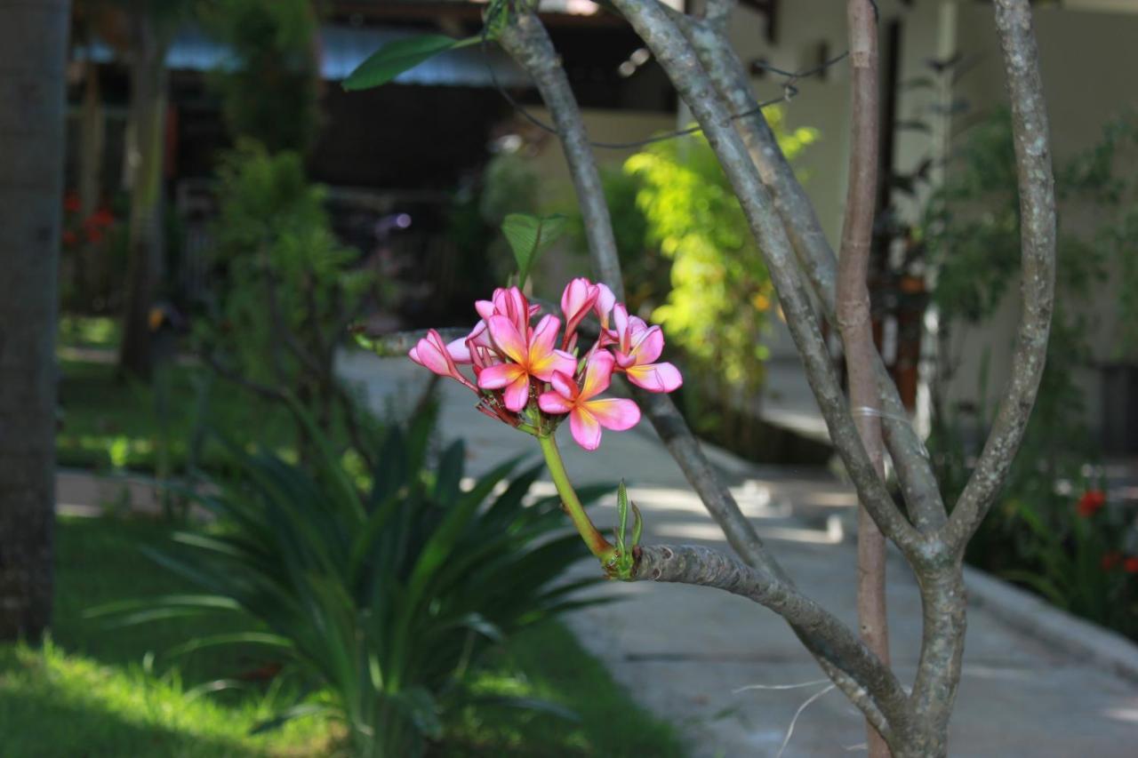 Herry Homestay Kuta  Dış mekan fotoğraf