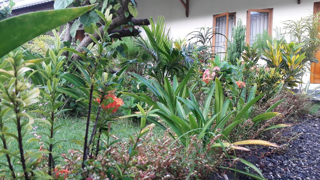 Herry Homestay Kuta  Dış mekan fotoğraf