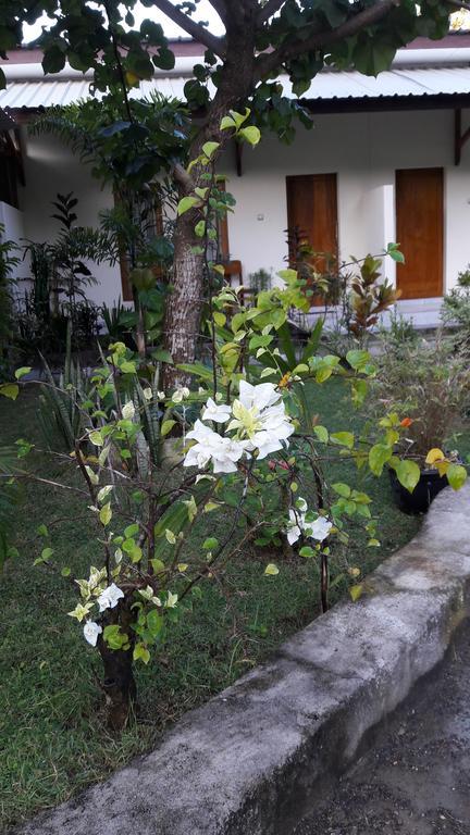 Herry Homestay Kuta  Dış mekan fotoğraf