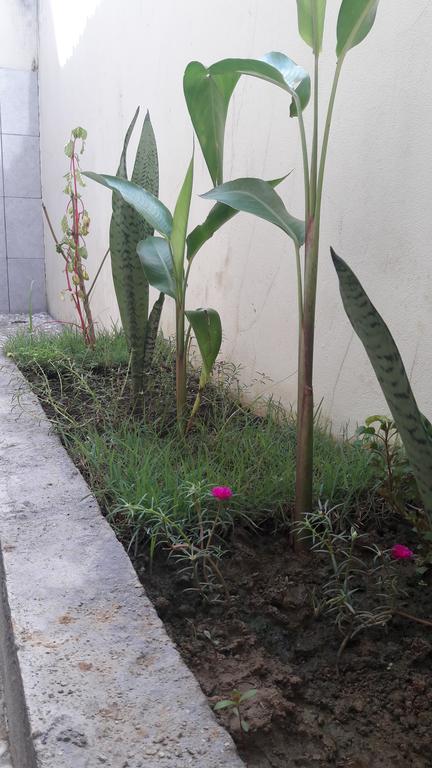 Herry Homestay Kuta  Dış mekan fotoğraf